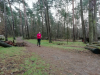 Meinweg